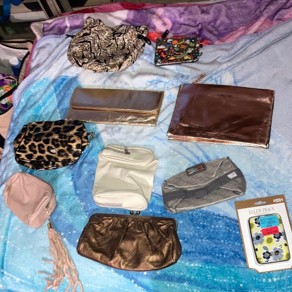 Assorted Clutch and Pouch Collection